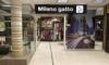 Milano Gatto, магазин одежды
