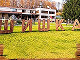 Шишка, парк-отель