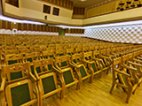 Концертный зал НСМШ